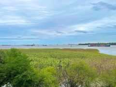 -上海吴淞炮台湾国家湿地公园