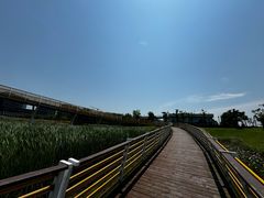 -春花秋色城市公园