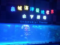 -泉城欧乐堡海洋极地世界
