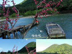-杨梅坑