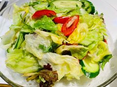蔬菜沙拉-西域阿里马新疆菜·清真(桂花路店)
