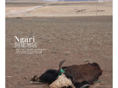 -松赞拉萨林卡酒店