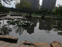 -前关湿地公园