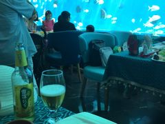 -瑞德姆美人鱼海底演艺主题餐厅(亚龙湾店)