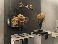 -贵州省博物馆(新馆)
