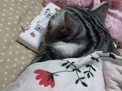 -过桥缘·过桥米线(西冶街店)