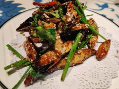 -勒马听风(洛邑古城店)