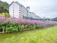 -斯瑞特国际酒店