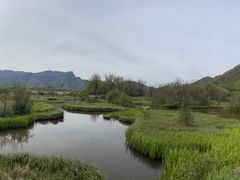 -大九湖