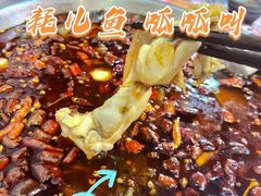 -耗儿鱼蛙蛙叫·老成都火锅(蛇口海昌街店)
