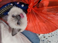 -FULL MOON满月咖啡