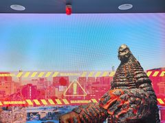 -野人先生Gelato(上海长宁龙之梦店)