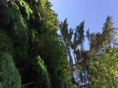 iphone_upload_pic-汉拿树木园