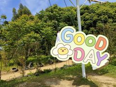 -紫颐香薰山谷景区