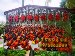 -兴隆槟榔园休闲农庄