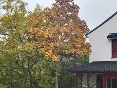 -幕燕滨江·燕子矶公园