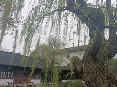 -东山雕花楼