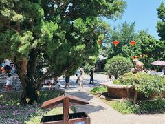 -蓬莱阁景区