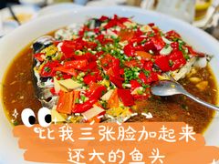 -丹江渔村(望京店)