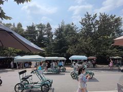 -日照海滨国家森林公园