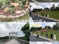 -东莞植物园
