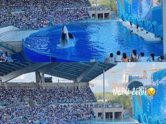 -上海海昌海洋公园