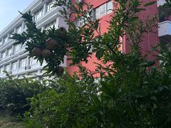 -潘记红烧肉