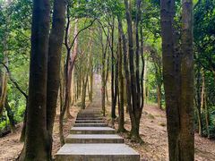 -火炉山森林公园