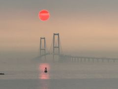 -宝安西湾红树林湿地公园