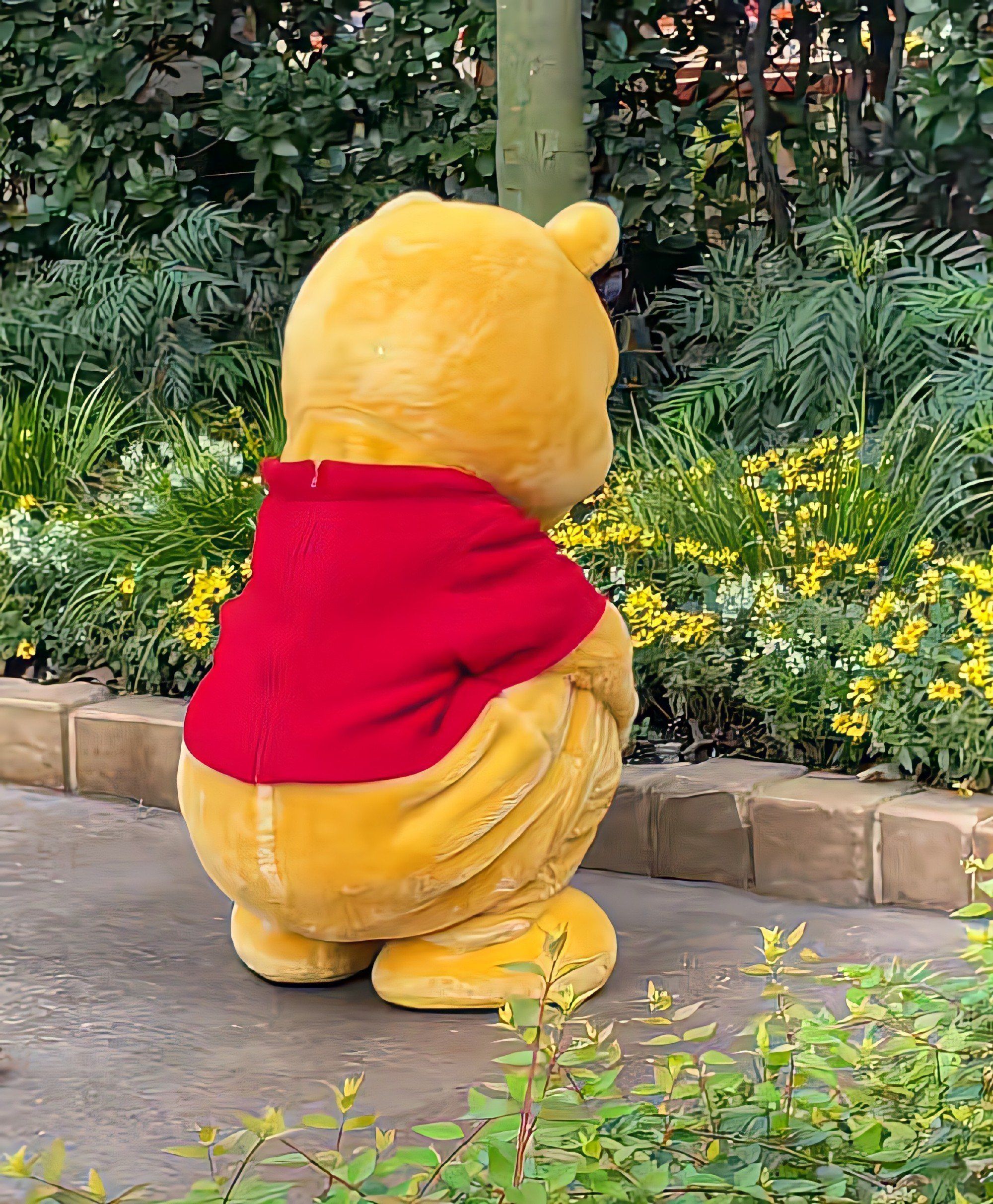 山前山后都有风有风无风都自由 ​​​