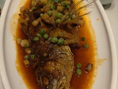 -新侨小馆(东直门北小街店)
