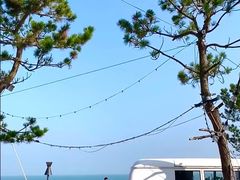 -日照海滨国家森林公园