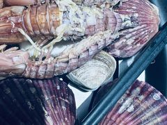 -大锅强·蒸海鲜青岛菜(吾悦广场店)