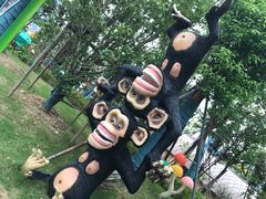 -苏州乐园森林水世界