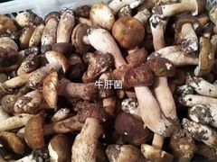 -丙申臺火锅