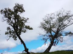 -硗碛藏寨·神木垒景区