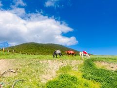 -扁都口生态休闲旅游区
