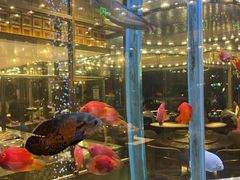 -悦百味·品质川菜(橄榄郡店)