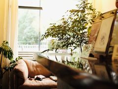 -COTTON CAFE(德信·中外公寓店)