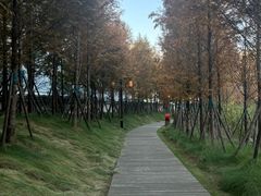 -南阳卧龙岗武侯祠