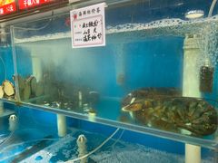 水产区-1910老鲁味海鲜·戳子肉·青岛菜(金沙滩店)
