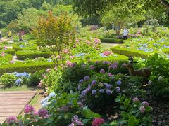 -上海共青森林公园