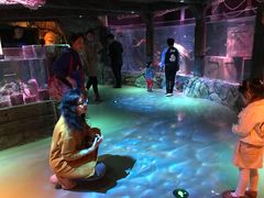 -沈阳海洋探索中心