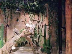 -zoonana室内动物园(东方福来德店)