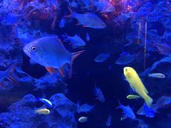 -成都浩海立方海洋公园