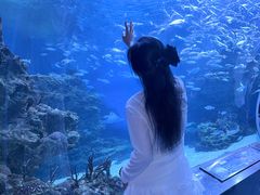 -海合安成都极地海洋公园
