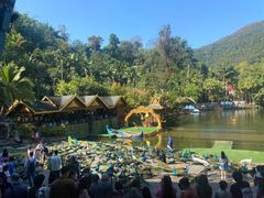 -西双版纳原始森林公园