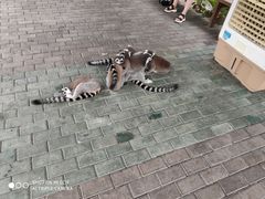 -常州淹城野生动物世界