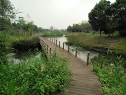 -水八仙生态园
