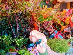 -萤火虫咖啡(后海店)